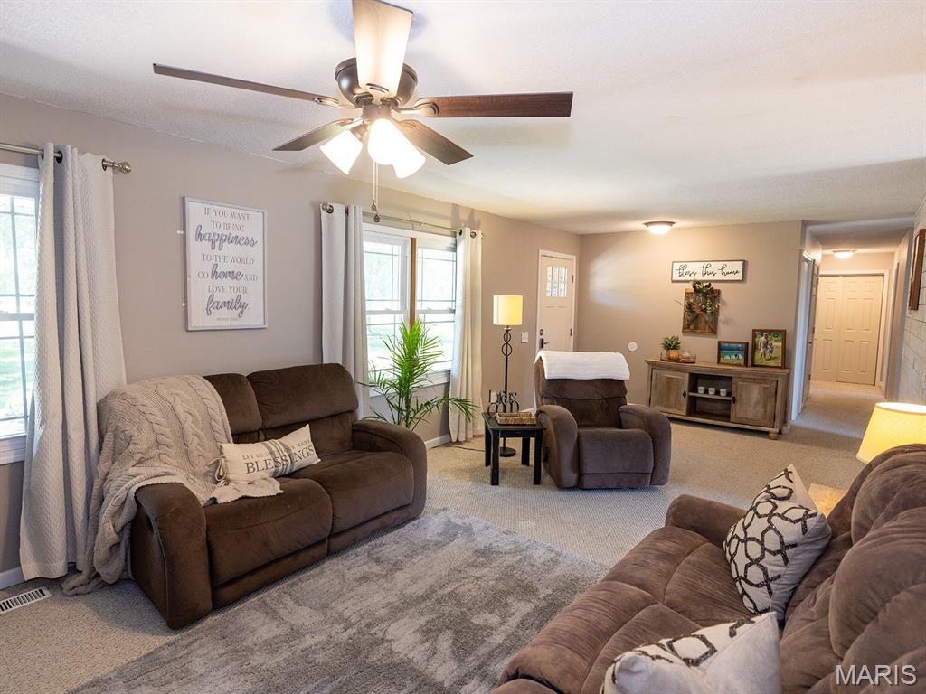 14816 State Hwy UU Bowling Green, MO 63334 - Photo 6 of 54