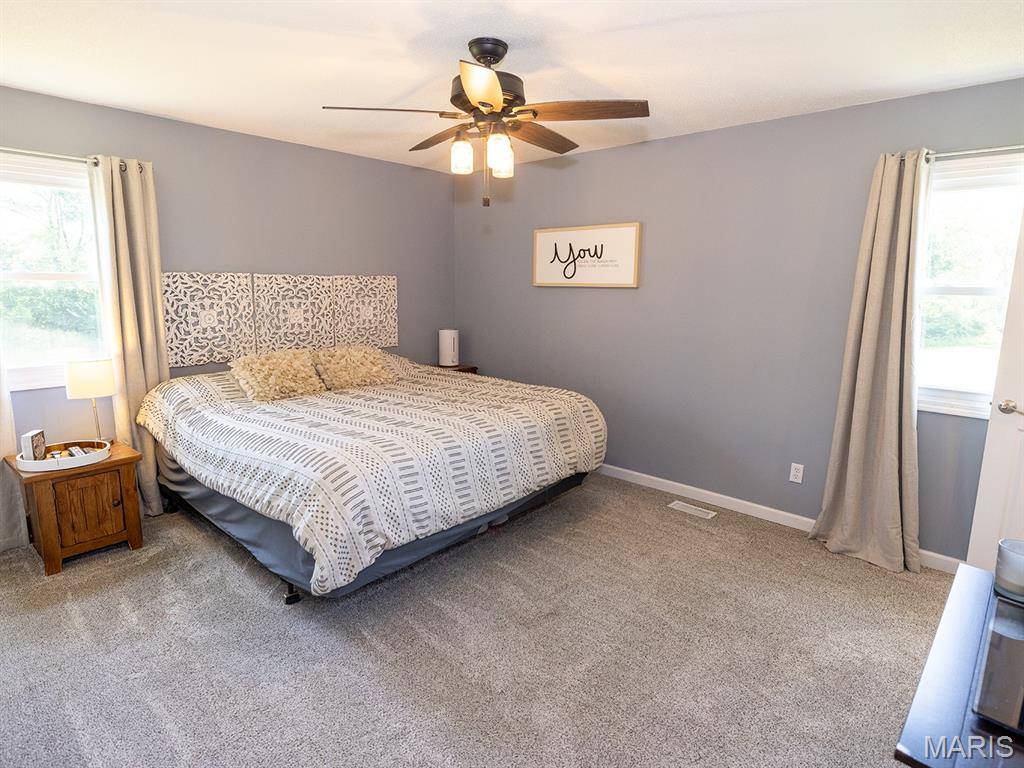 14816 State Hwy UU Bowling Green, MO 63334 - Photo 7 of 54