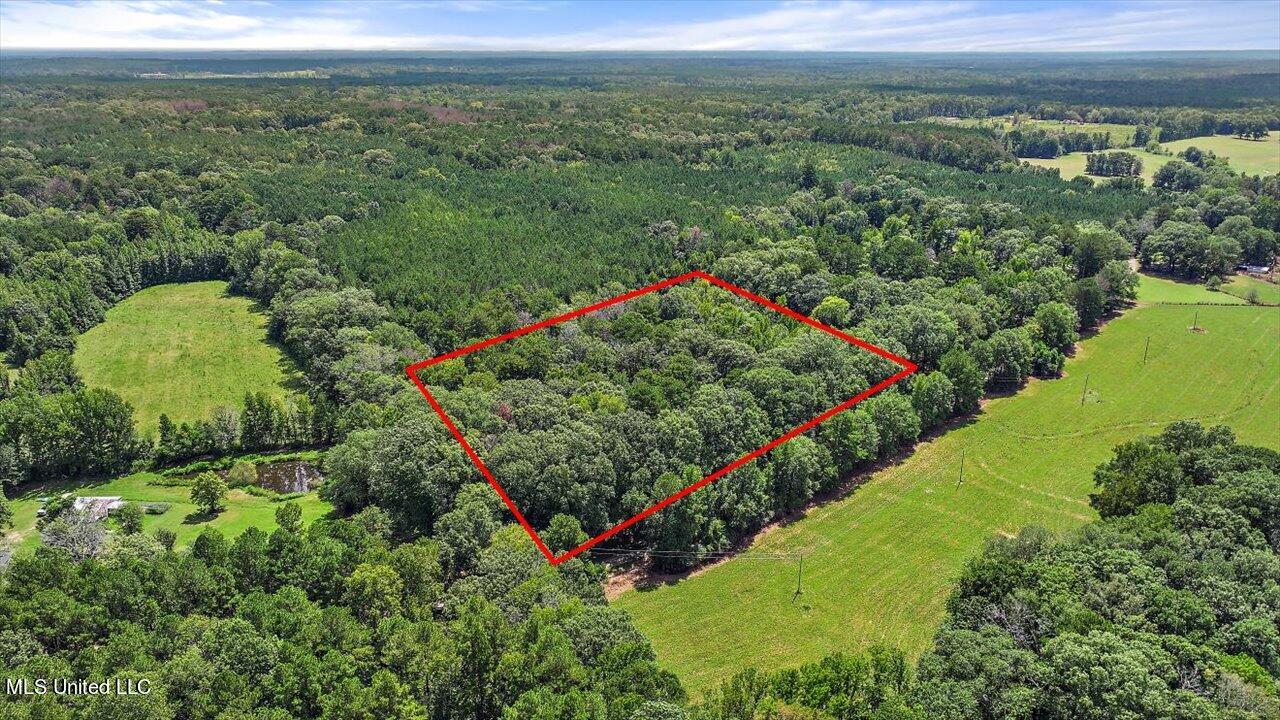 487 Gill Road Brandon, MS 39042 - Photo 2 of 59 59-487 Gill Rd 32a