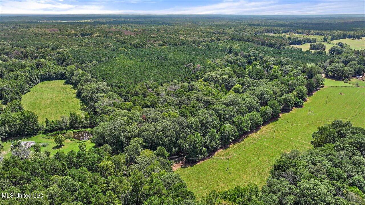 487 Gill Road Brandon, MS 39042 - Photo 33 of 59 32-487 Gill Rd