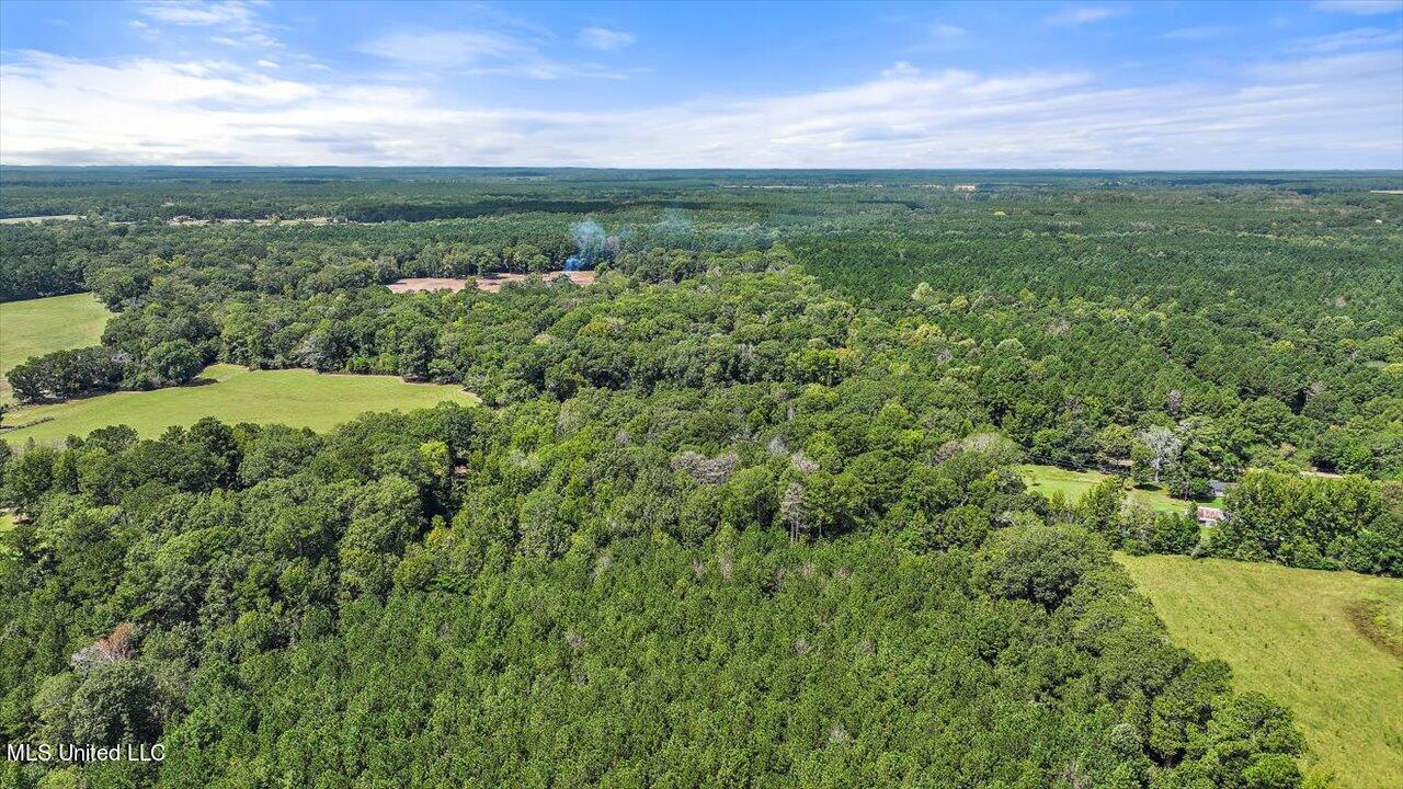 487 Gill Road Brandon, MS 39042 - Photo 37 of 59 36-487 Gill Rd