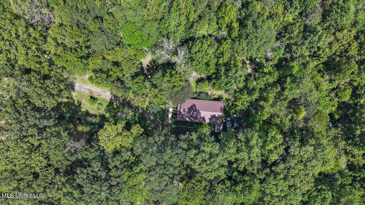 487 Gill Road Brandon, MS 39042 - Photo 42 of 59 41-487 Gill Rd