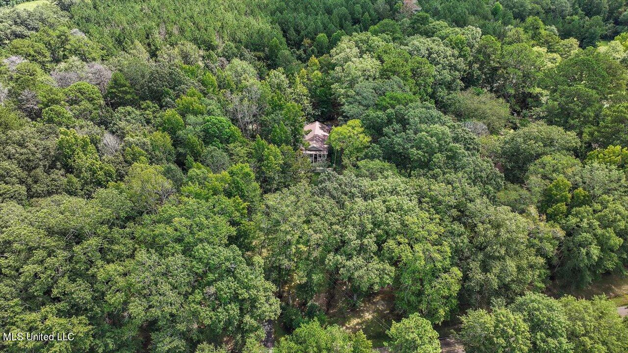 487 Gill Road Brandon, MS 39042 - Photo 47 of 59 46-487 Gill Rd