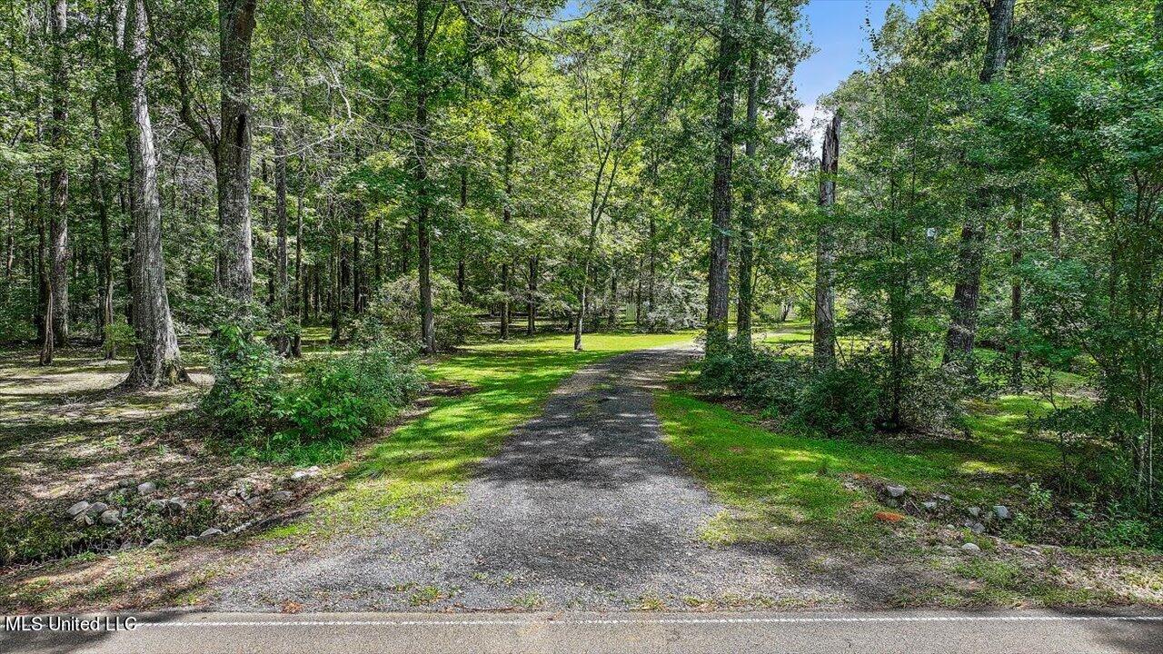 487 Gill Road Brandon, MS 39042 - Photo 53 of 59 52-487 Gill Rd