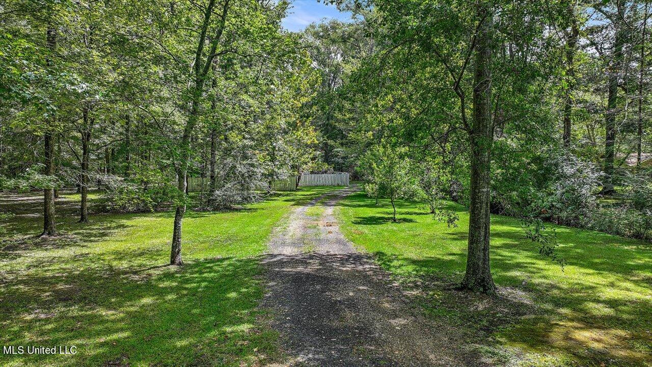 487 Gill Road Brandon, MS 39042 - Photo 54 of 59 53-487 Gill Rd