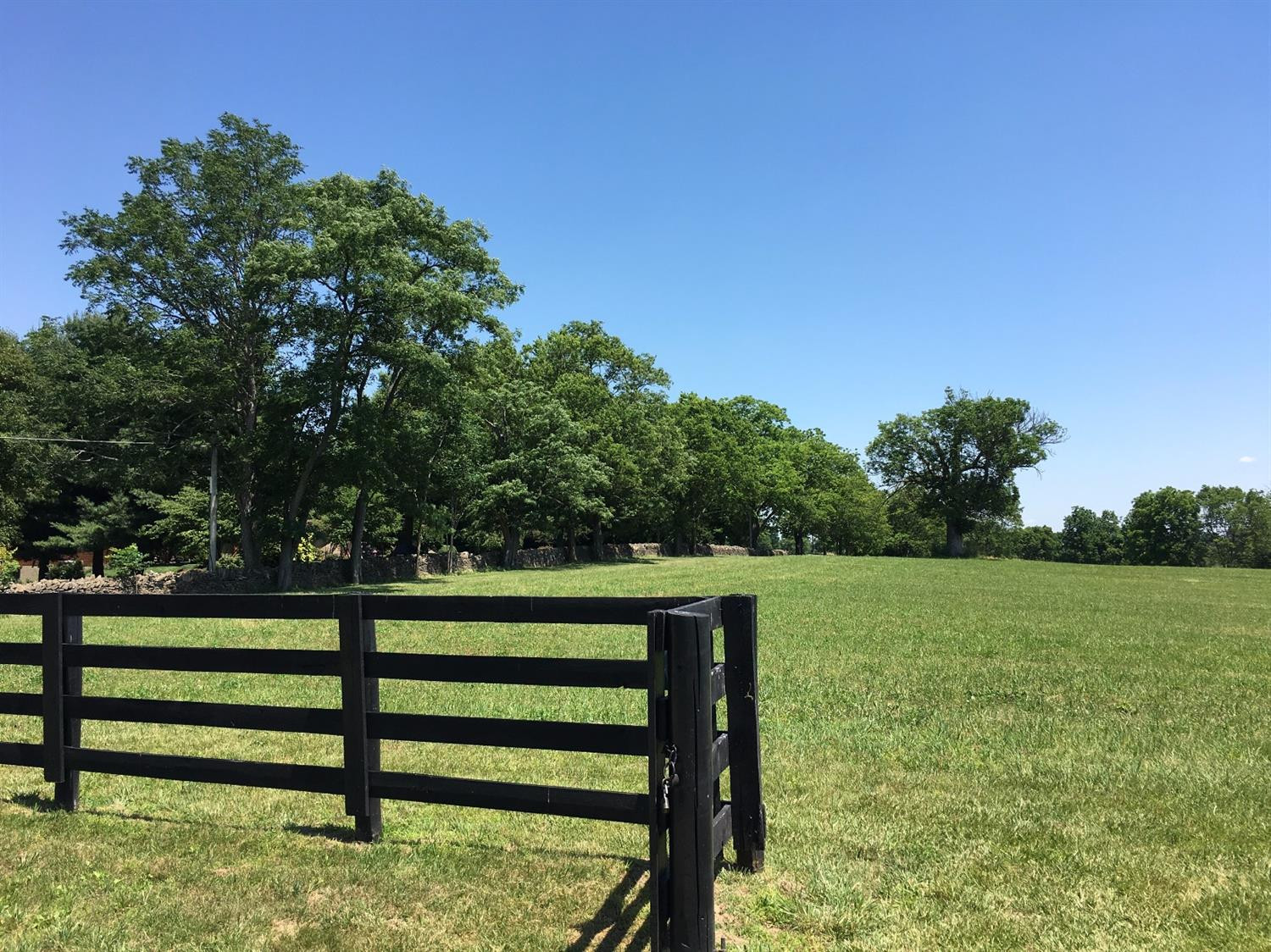 3268 Ironworks Road Georgetown, KY 40324 - Photo 5 of 23 Photo 5