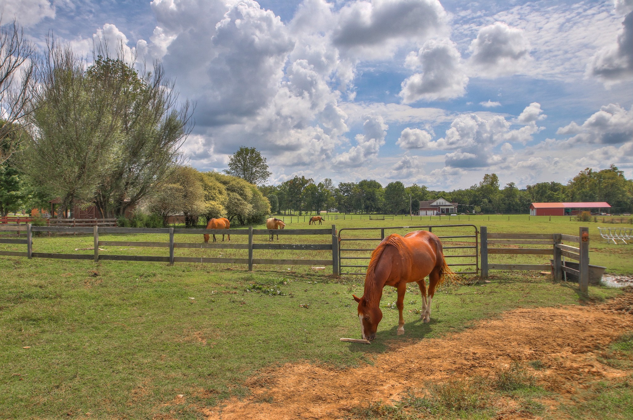 953 Powell Grove Road Lebanon, TN 37090 - Photo 61 of 70 Gallery Image 61