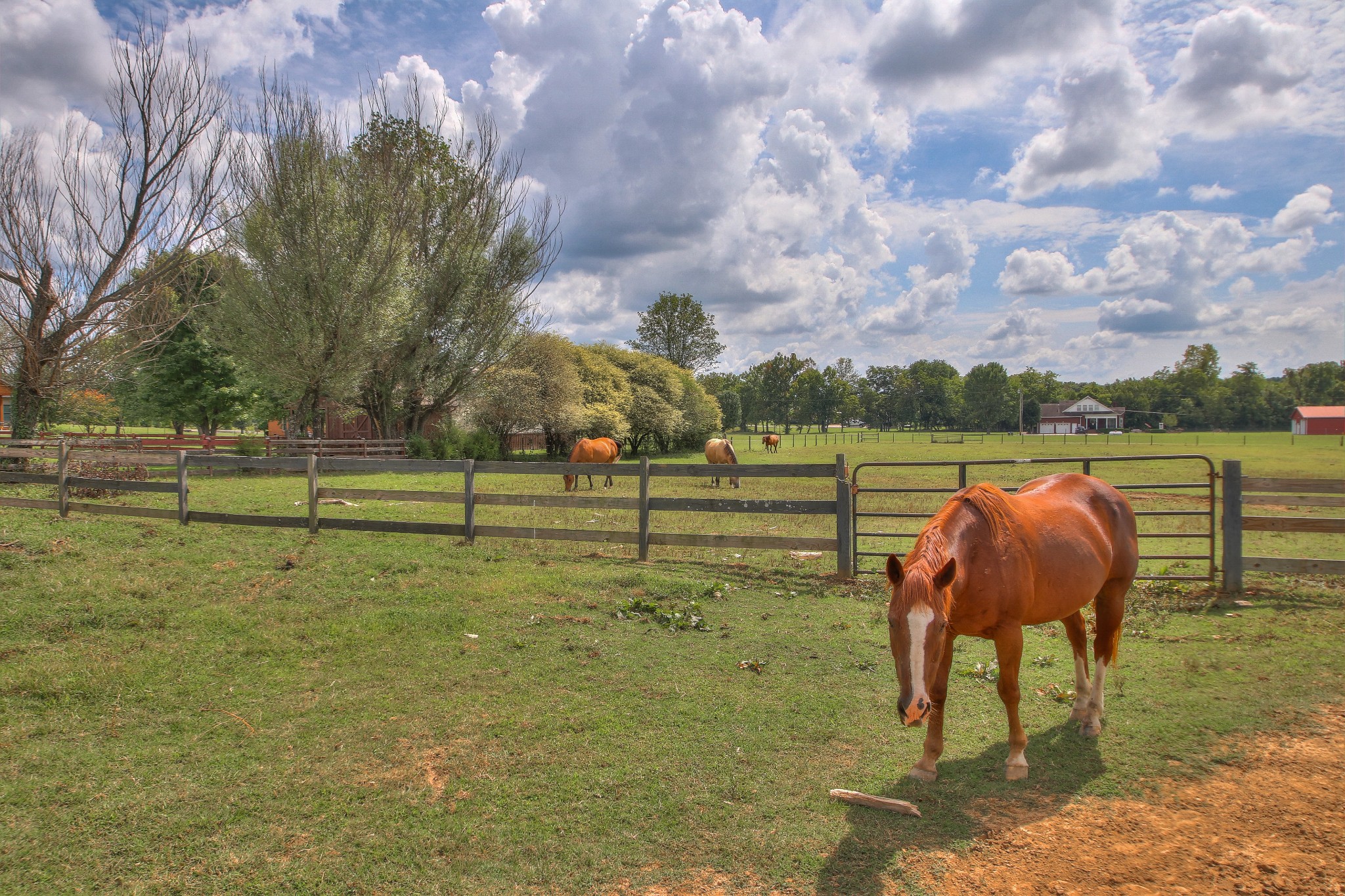 953 Powell Grove Road Lebanon, TN 37090 - Photo 62 of 70 Gallery Image 62