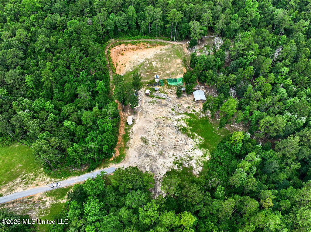 94 Desoto Road McHenry, MS 39561 - Photo 3 of 37 94DesotoRd.S-2