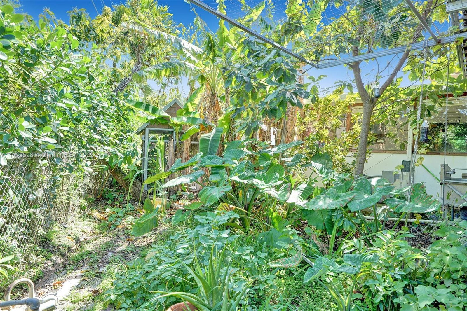 10801 Griffing Boulevard Biscayne Park, FL 33161 - Photo 45 of 77 a backyard of a house with lots of green space and a fountain
