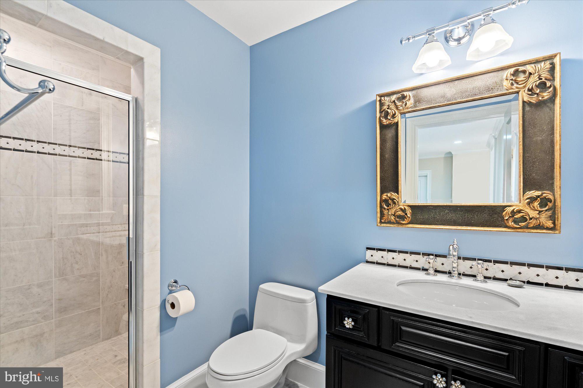 6041 25th Road North Arlington, VA 22207 - Photo 54 of 67 4th full bath