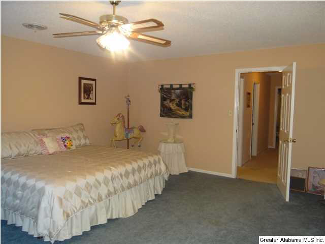 4150 Highway 174 Springville, AL 35146 - Photo 21 of 29