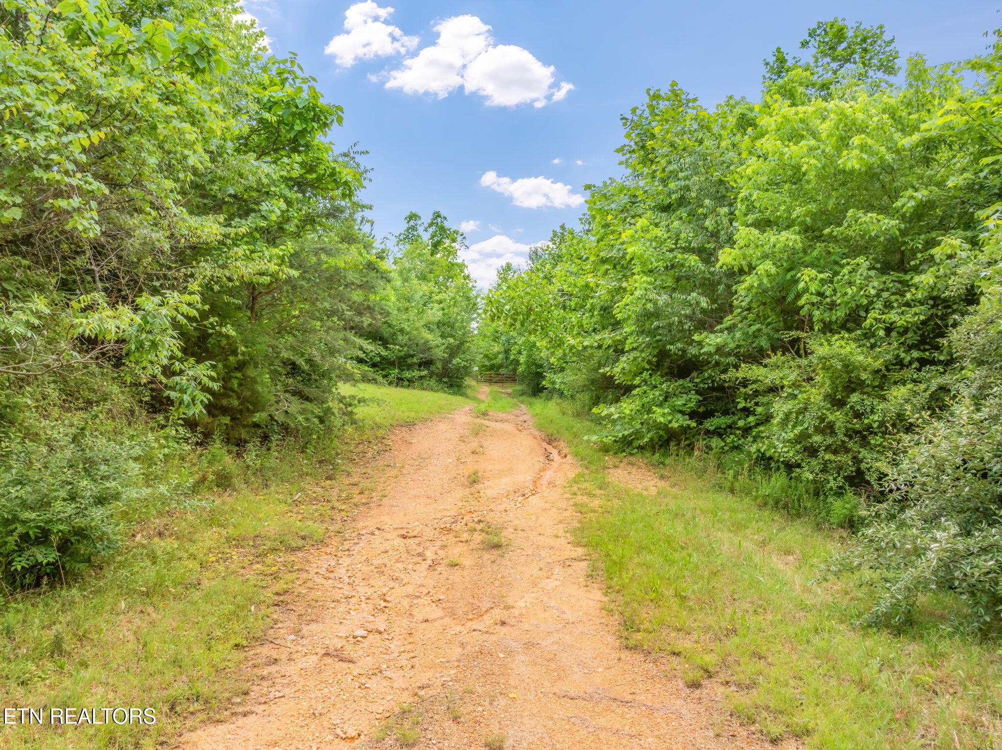 0 Grigsby Hollow Road Kingston, TN 37763 - Photo 2 of 34 Driveway in