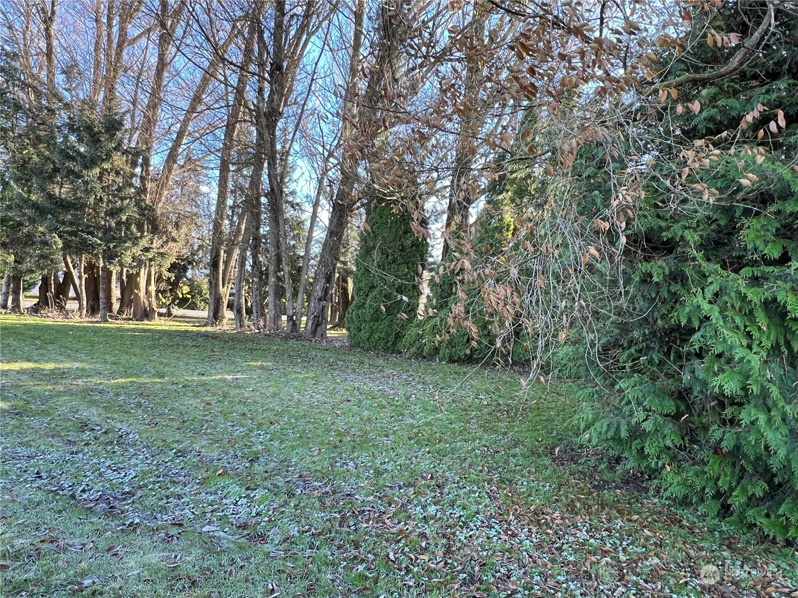 8173 Van Buren Road Everson, WA 98247 - Photo 20 of 21 Gallery Image 20