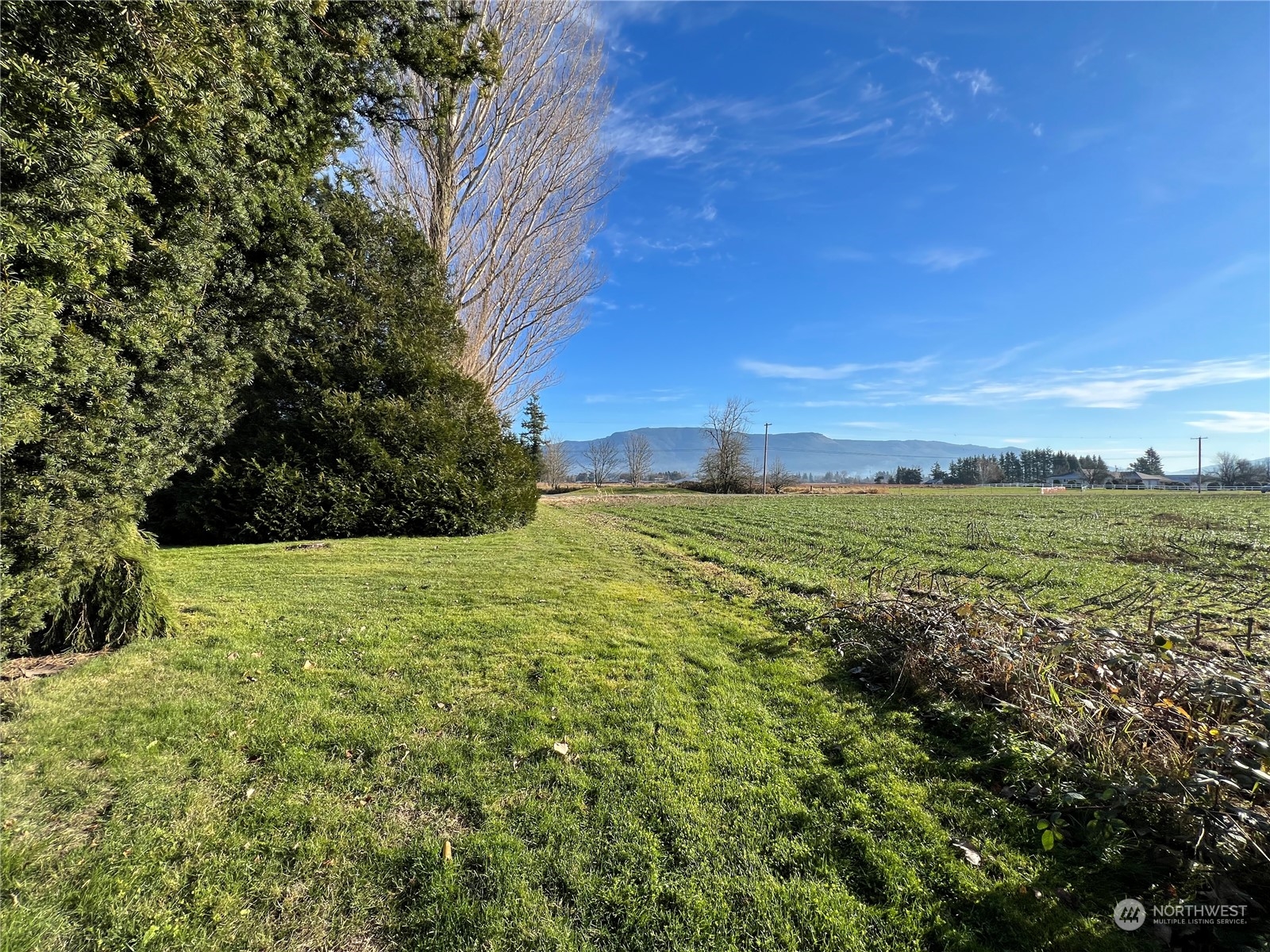 8173 Van Buren Road Everson, WA 98247 - Photo 21 of 21 Gallery Image 21