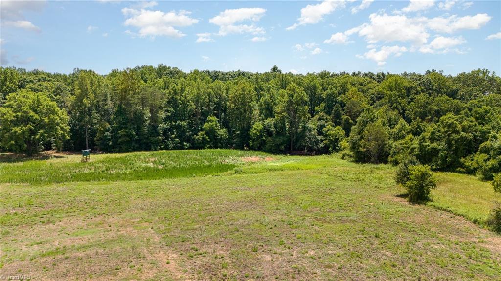 0 Robinhood Road Pfafftown, NC 27040 - Photo 3 of 11 Gallery Image 3