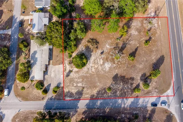 an aerial view of a house with a yard and large trees