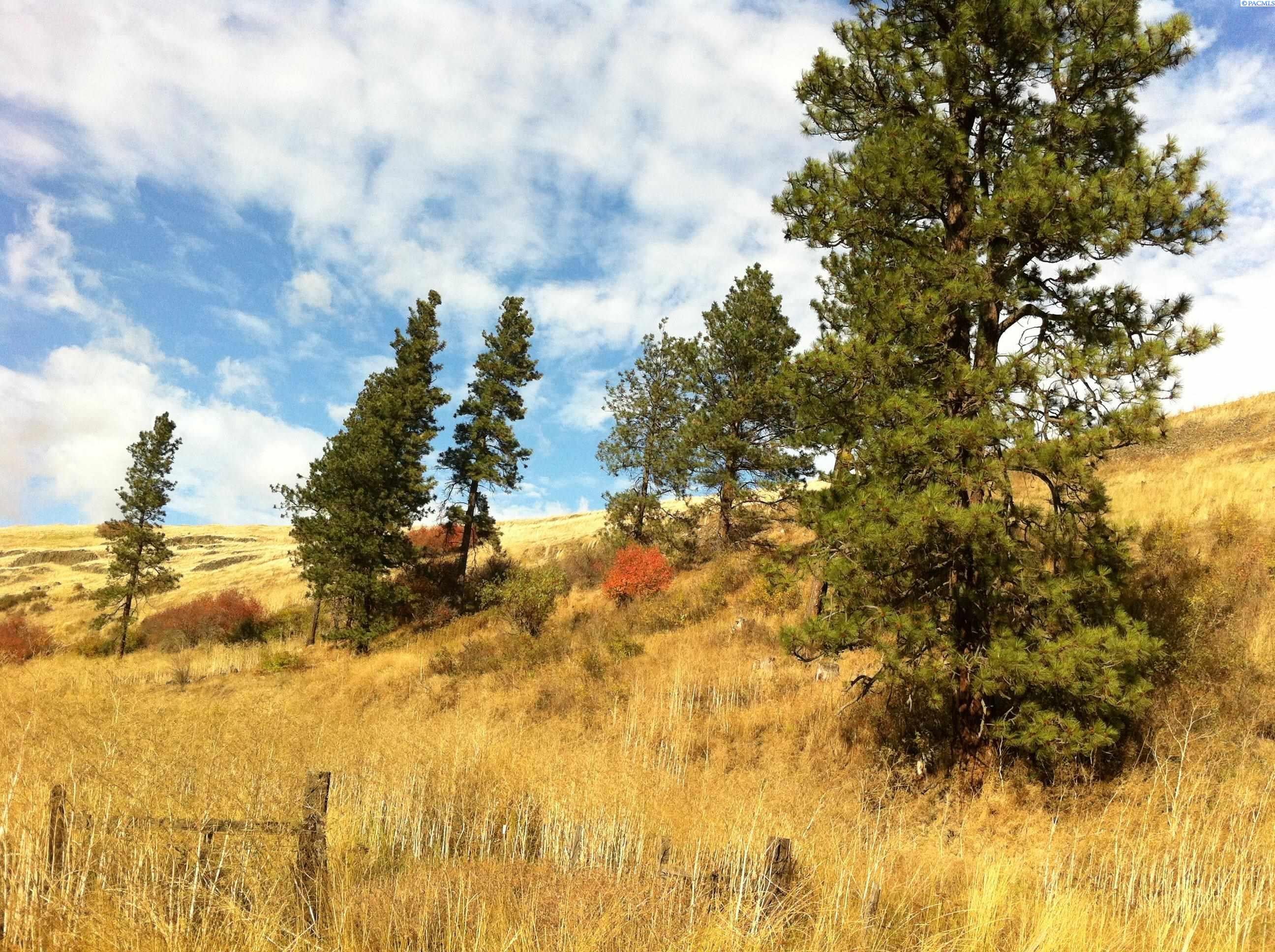 Lot 34 South Palouse River Road Colfax, WA 99111 - Photo 1 of 1 Gallery Image 1