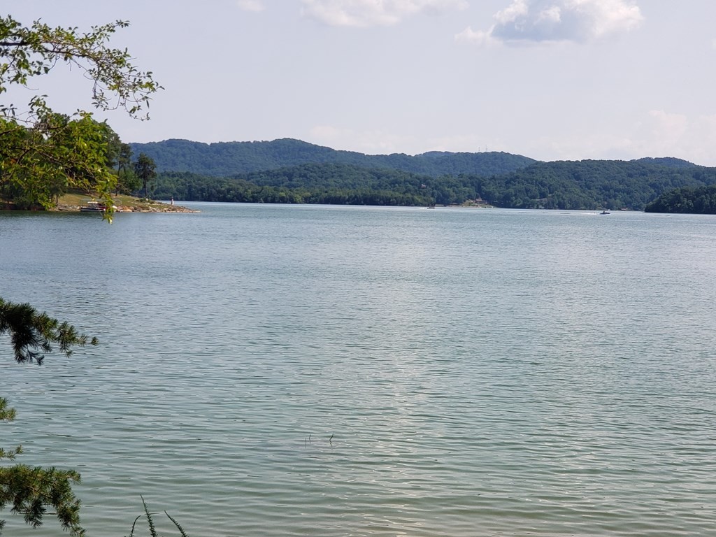 334 Catawba Road Bean Station, TN 37708 - Photo 4 of 57 Gallery Image 4