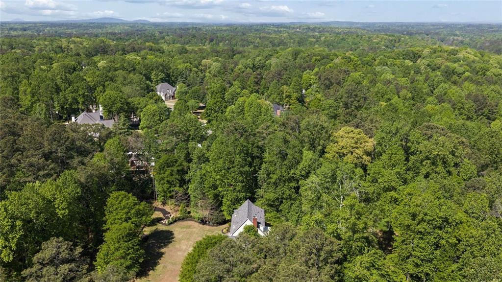 14030 Cogburn Road Milton, GA 30004 - Photo 65 of 66