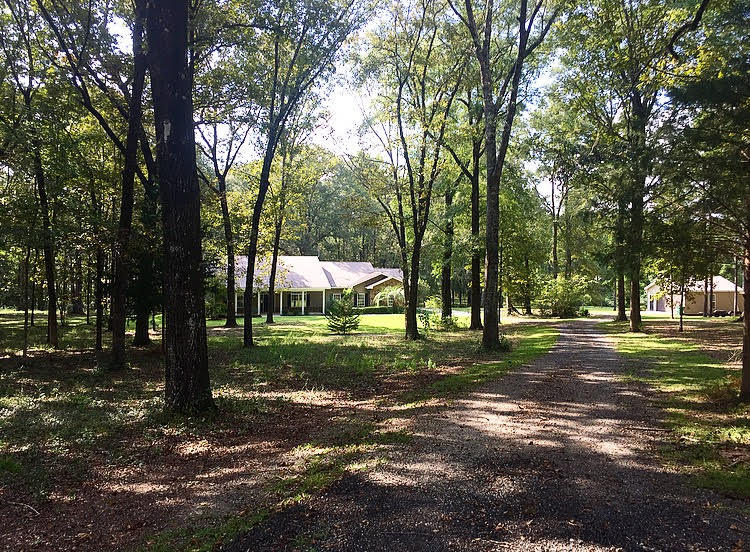 1514 Wes Nelson Road Chipley, FL 32428 - Photo 1 of 1 a view of a trees in a yard