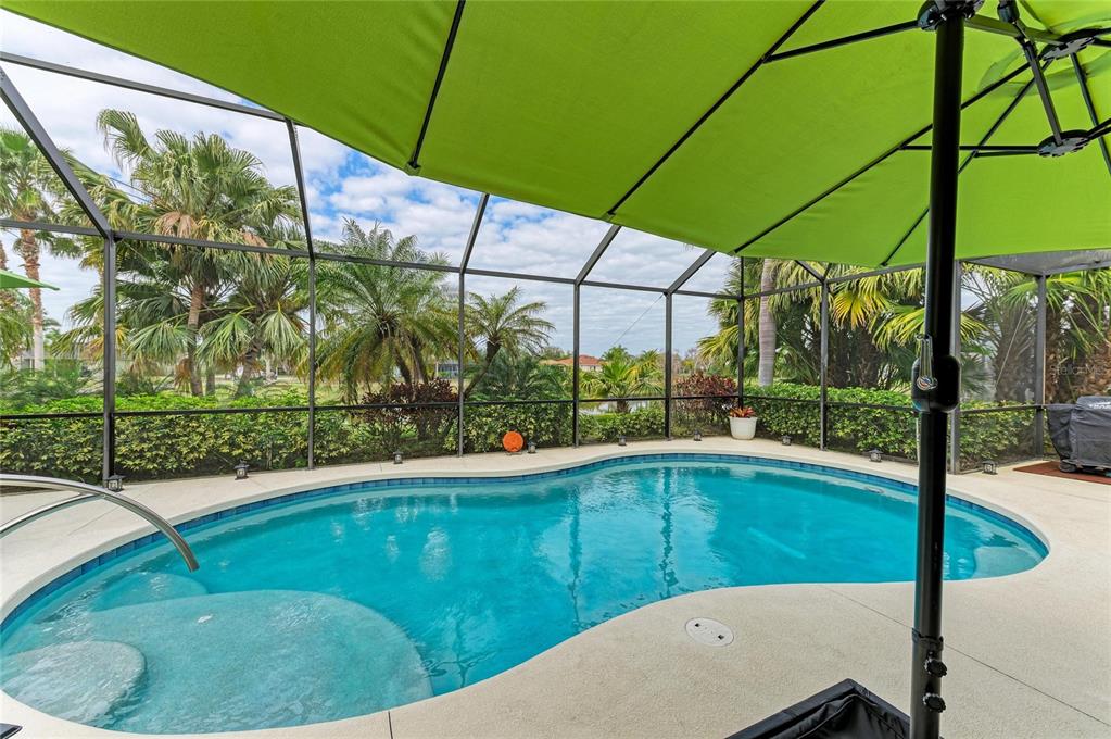 302 Cockle Shell Loop Apollo Beach, FL 33572 - Photo 56 of 75 a view of a backyard with plants and a small pool