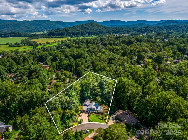 a view of a city with lush green forest
