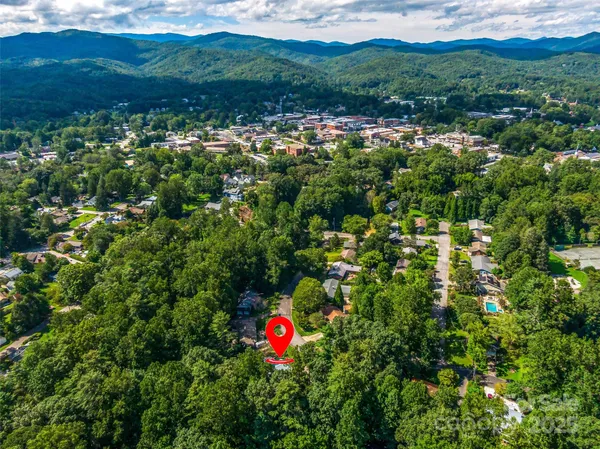 a view of a city with lush green forest