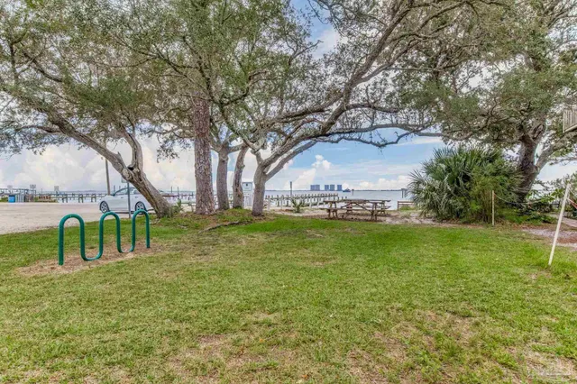 a view of a park with large trees