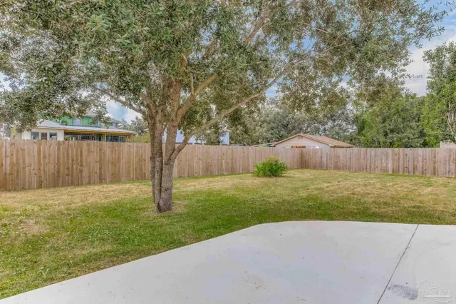 a view of backyard with tree
