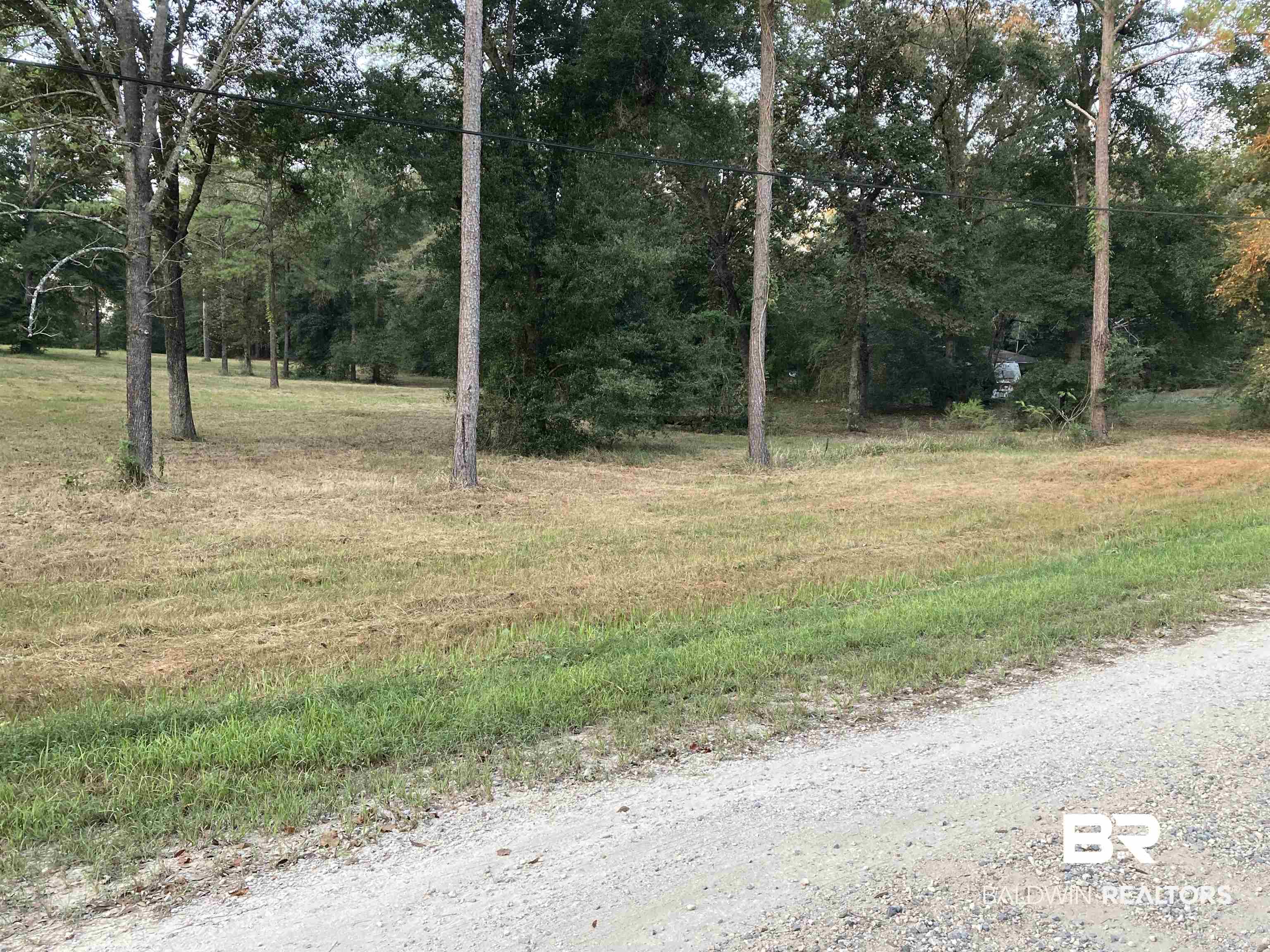 15400 Amazon Drive Wilmer, AL 36587 - Photo 2 of 6