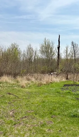 a view of a field with an ocean