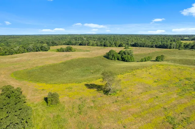 a view of an ocean beach