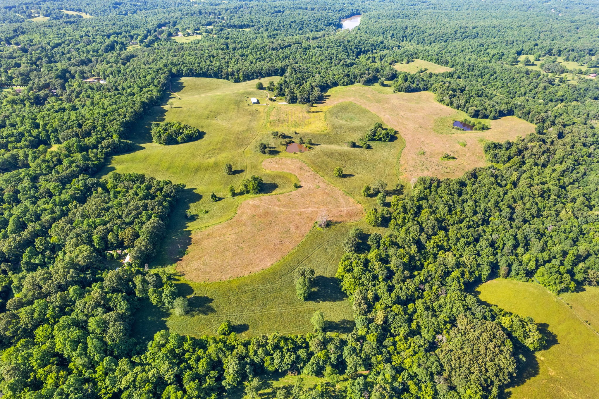0 Happy Hills Acre Road Woodlawn, TN 37191 - Photo 13 of 32 a view of a lot of trees in a bunch