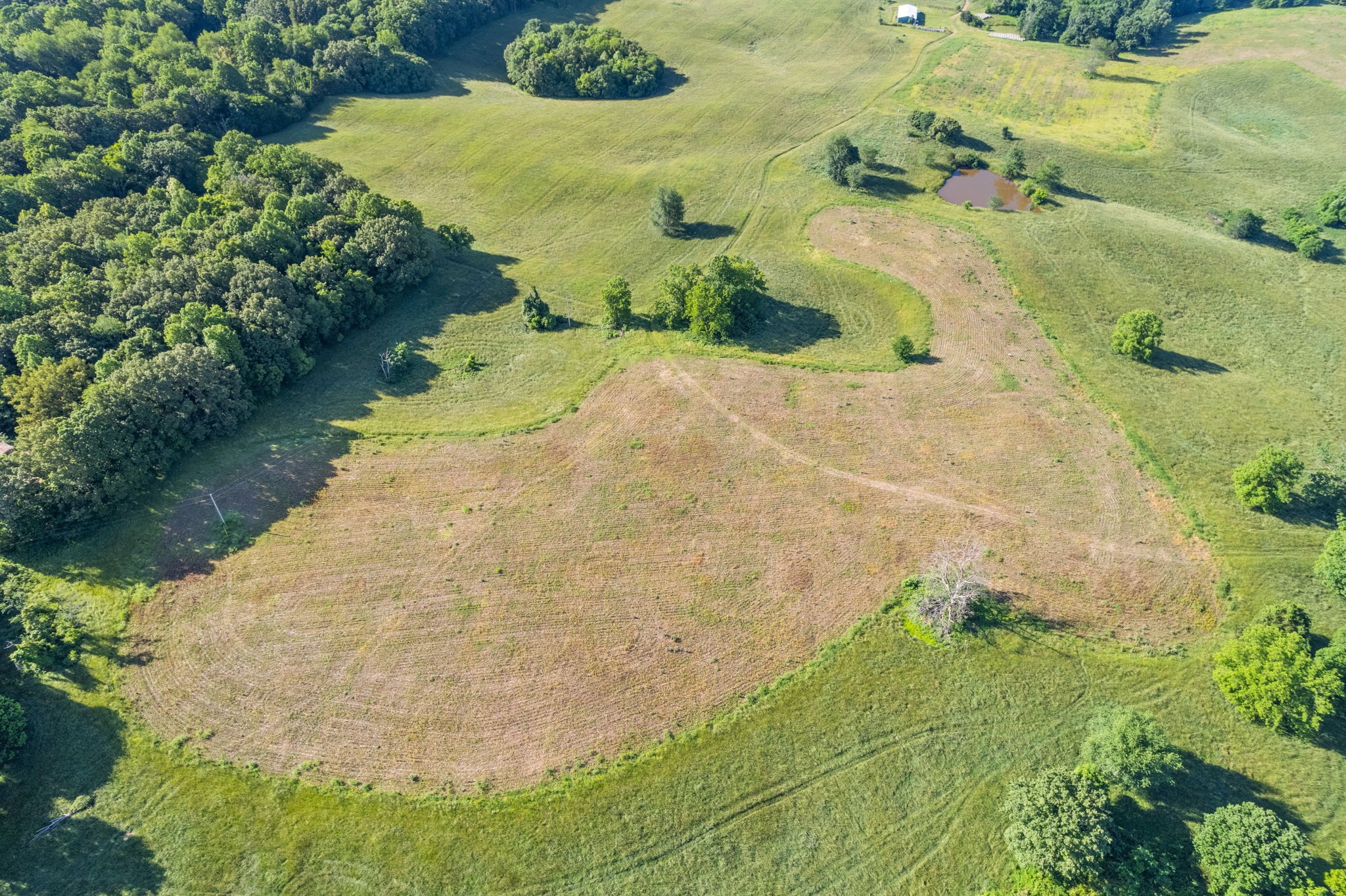 0 Happy Hills Acre Road Woodlawn, TN 37191 - Photo 17 of 32 a view of a garden with plants