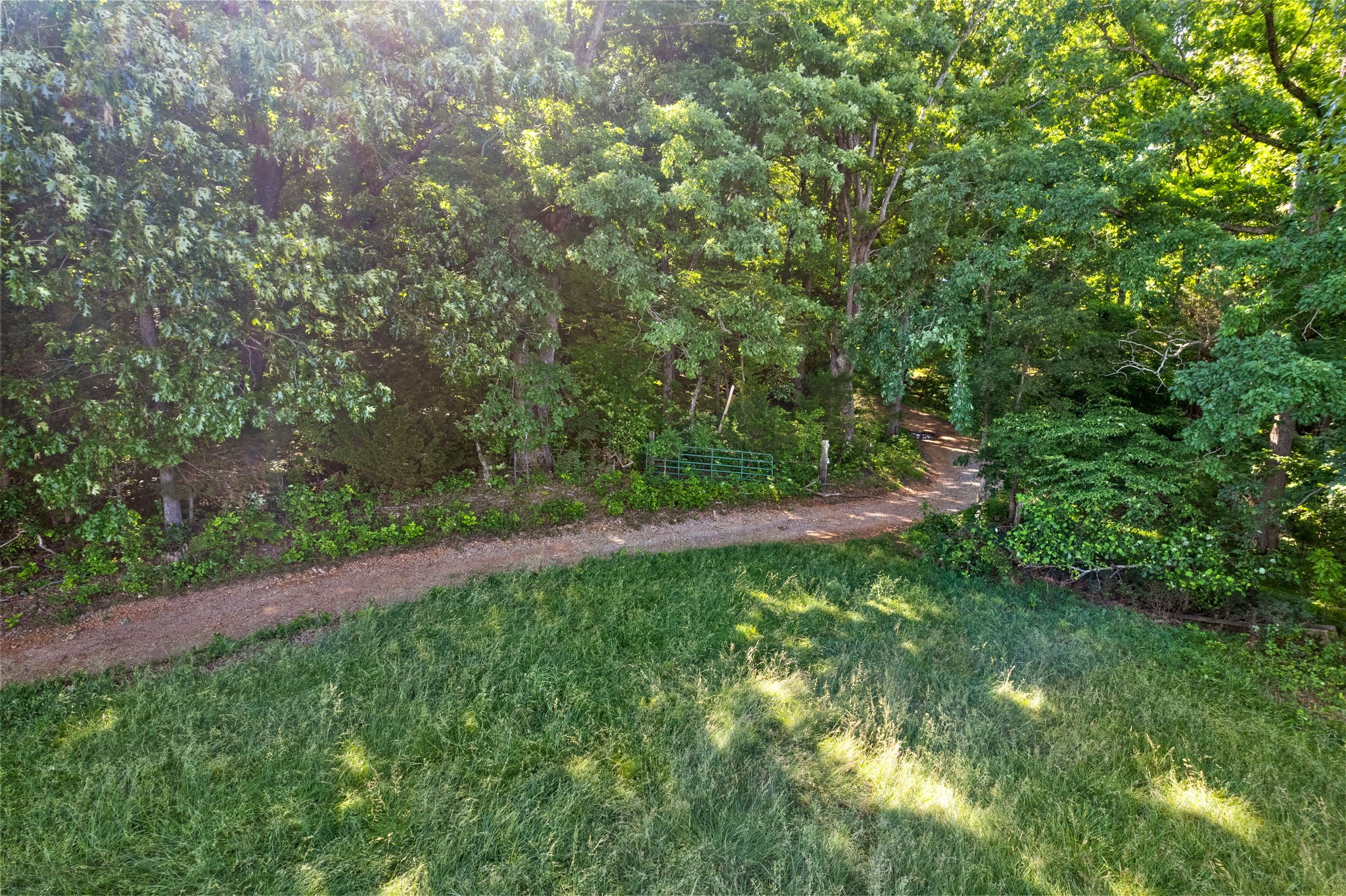 0 Happy Hills Acre Road Woodlawn, TN 37191 - Photo 20 of 32 a view of a yard