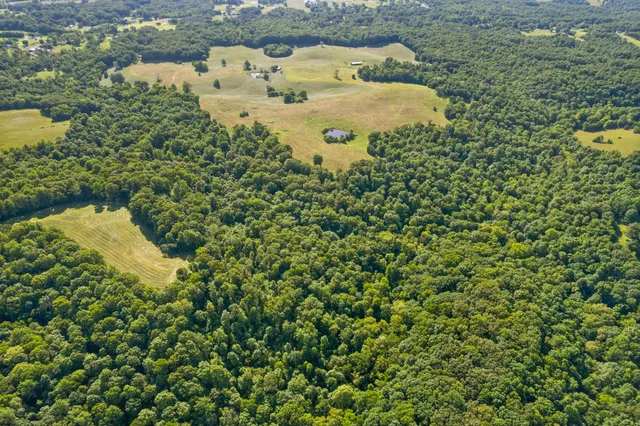 a view of a lake with a building in the background