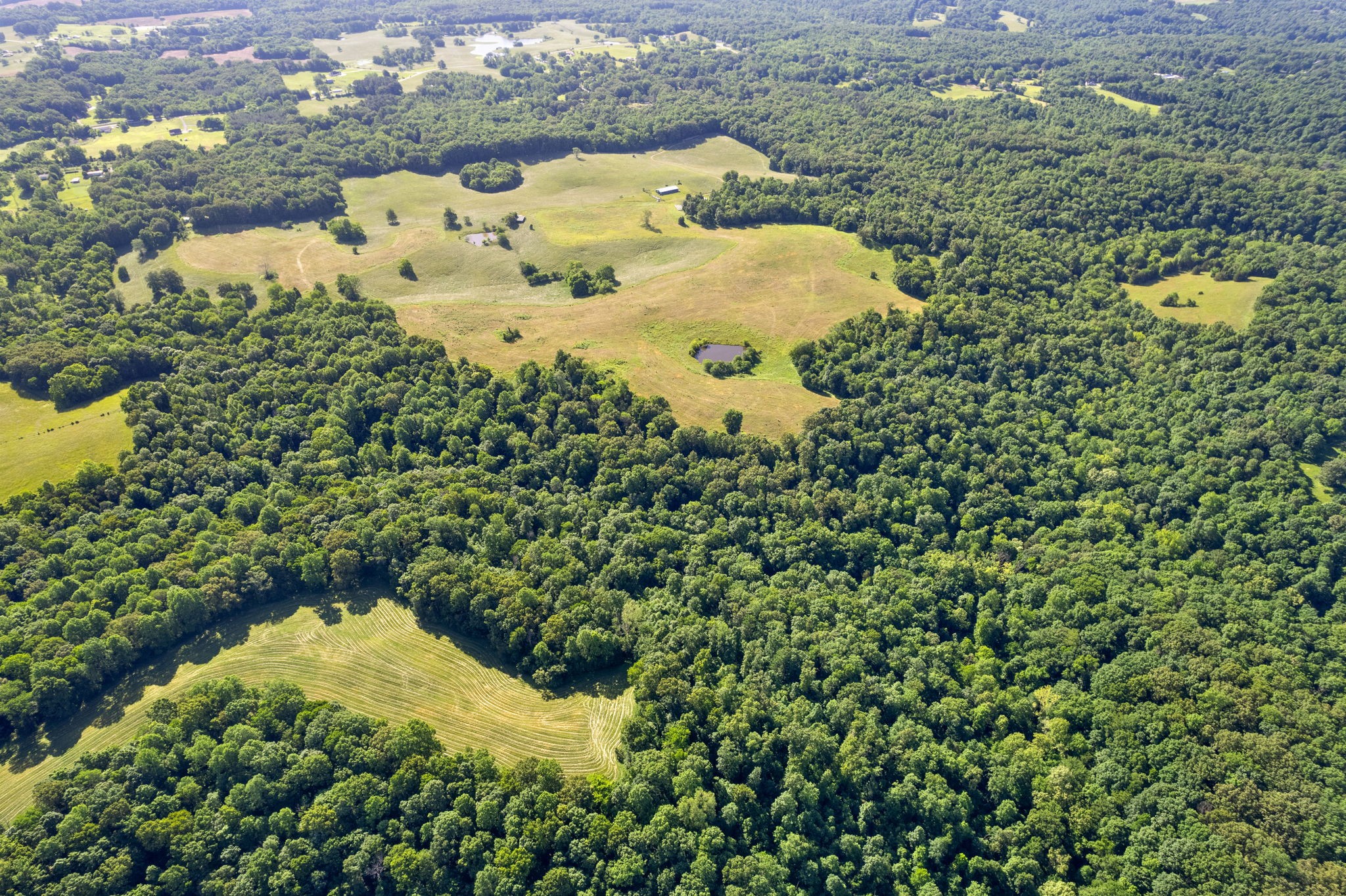 0 Happy Hills Acre Road Woodlawn, TN 37191 - Photo 23 of 32 a dirty view of a garden