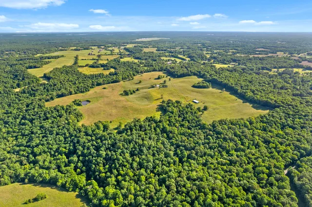 a view of a forest with trees