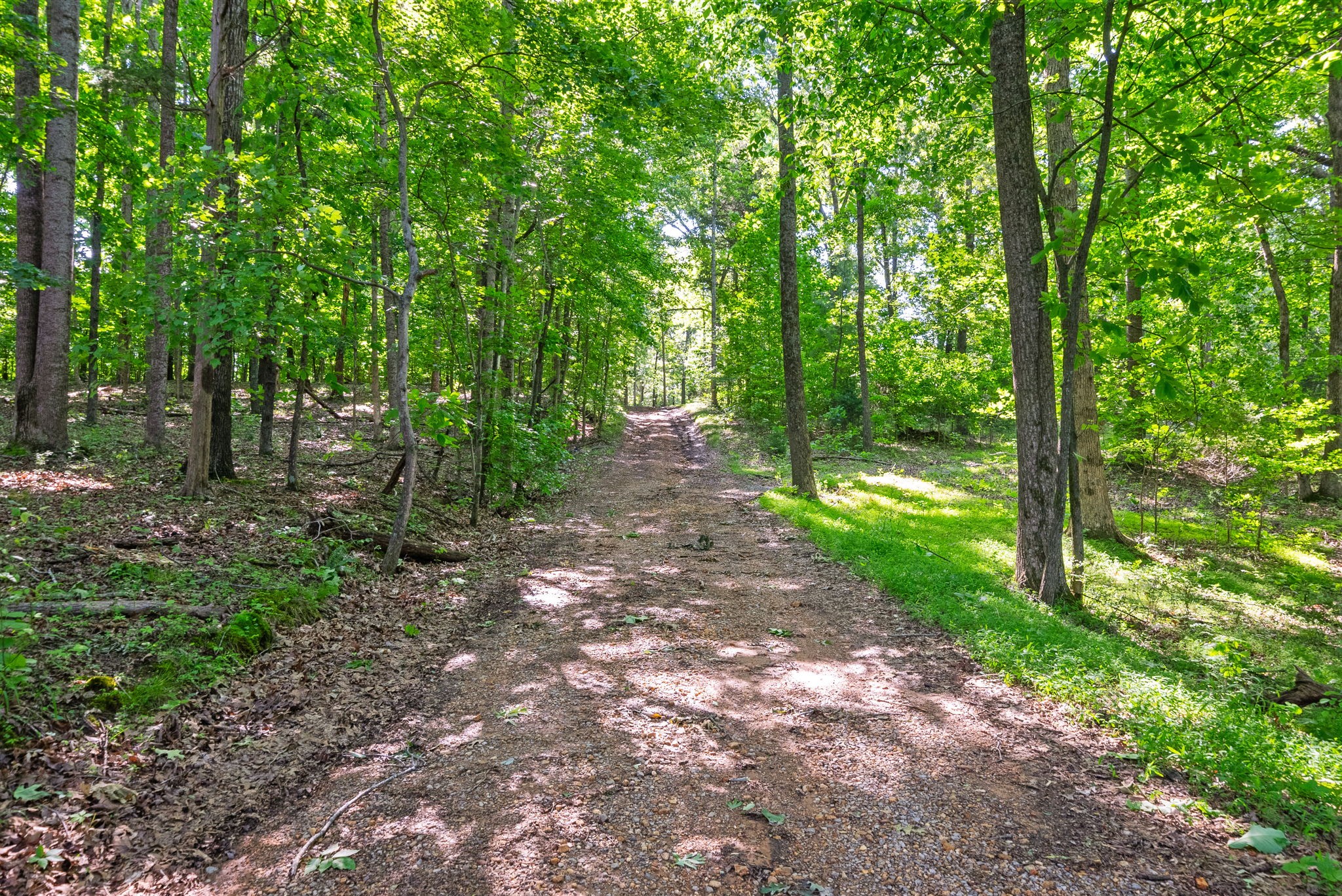 0 Happy Hills Acre Road Woodlawn, TN 37191 - Photo 30 of 32 a view of a forest with trees