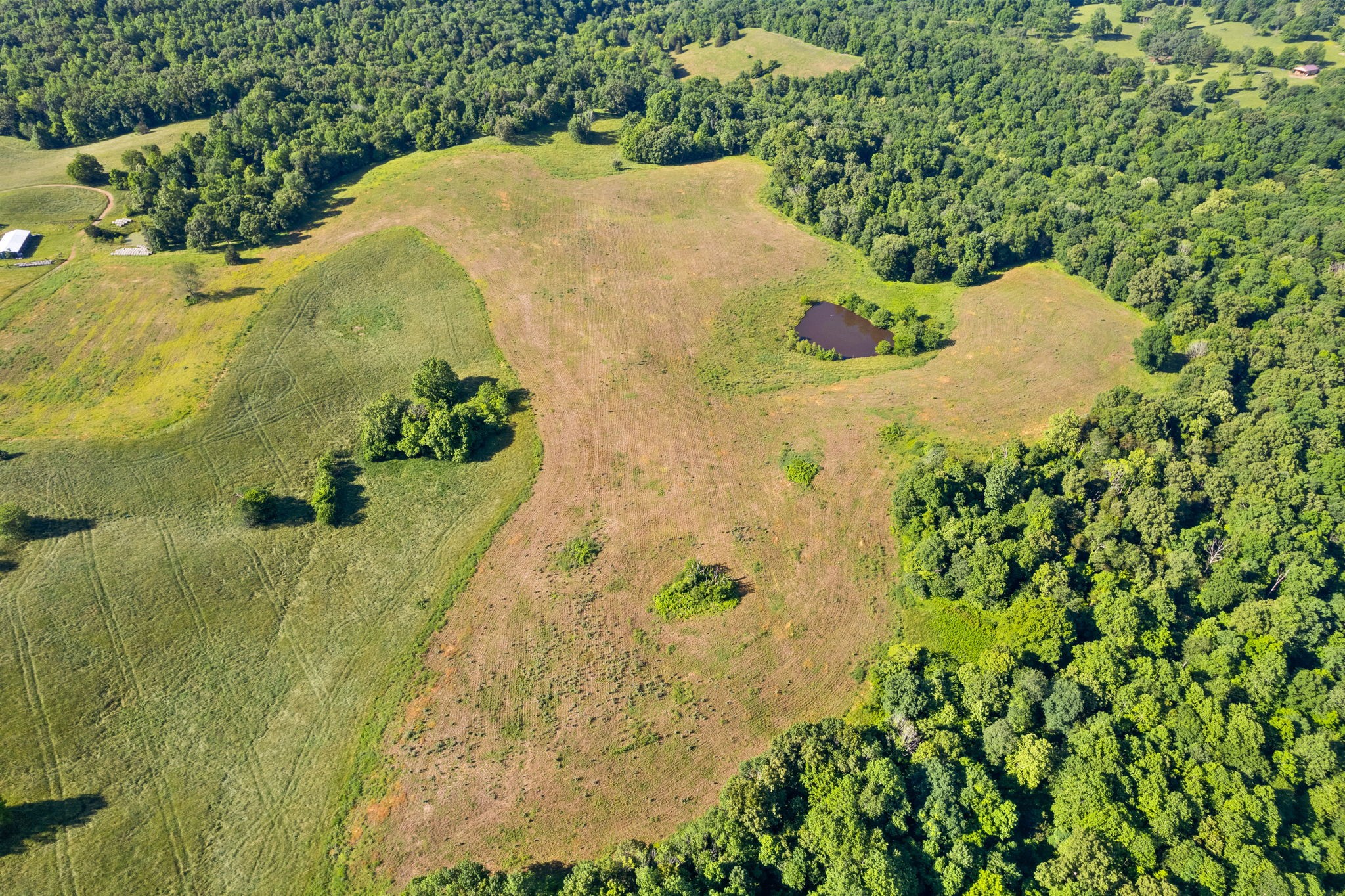 0 Happy Hills Acre Road Woodlawn, TN 37191 - Photo 6 of 32