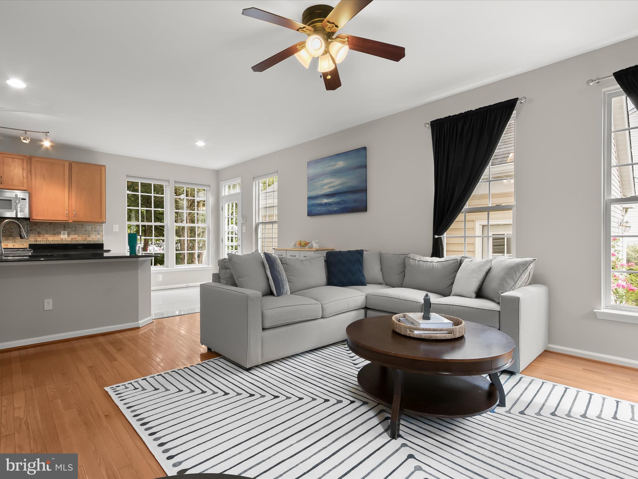 9808 Darcy Forest Drive Silver Spring, MD 20910 - Photo 20 of 82 a living room with furniture and a rug