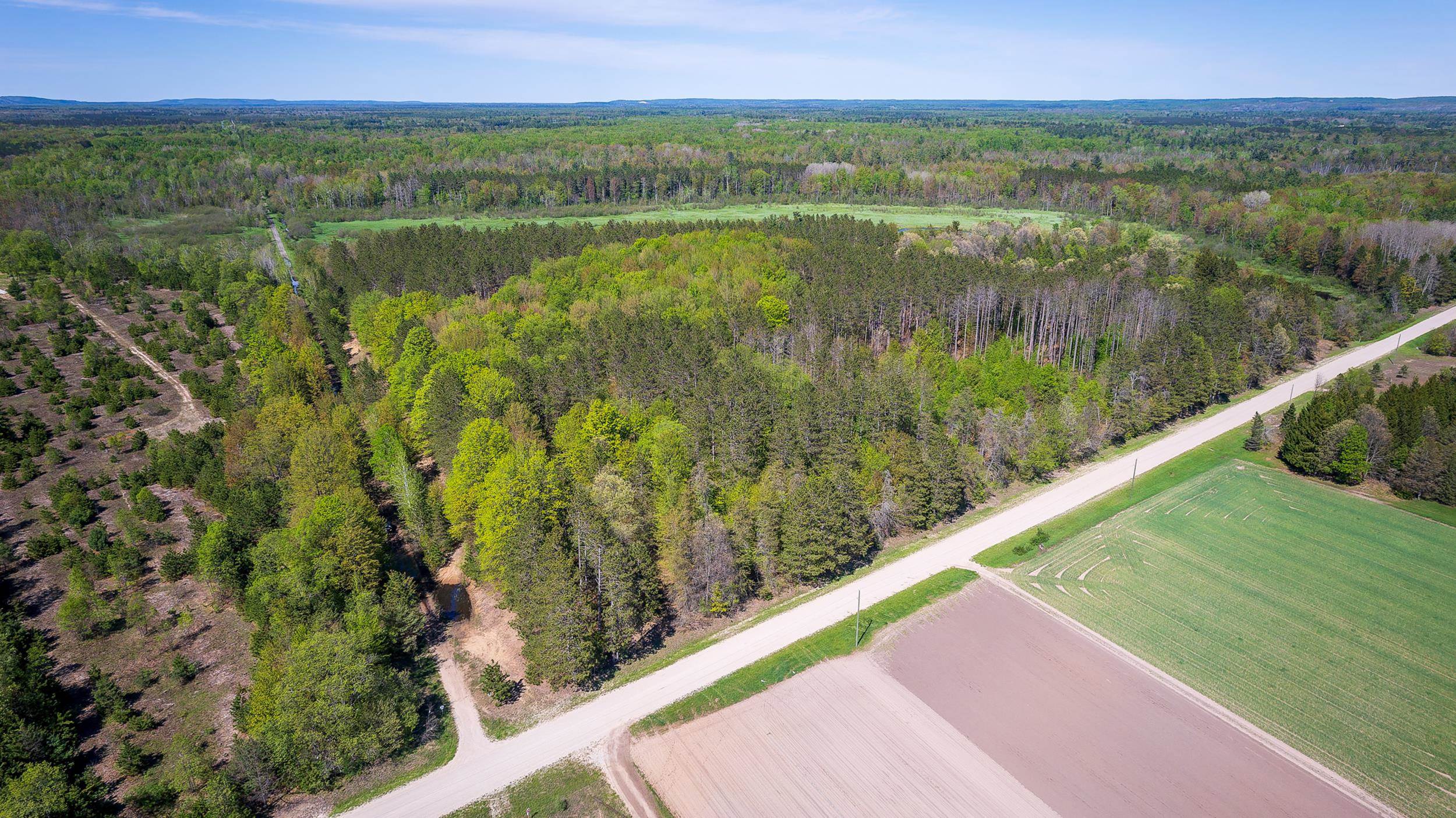 0 Makinen Road Kaleva, MI 49645 - Photo 16 of 25