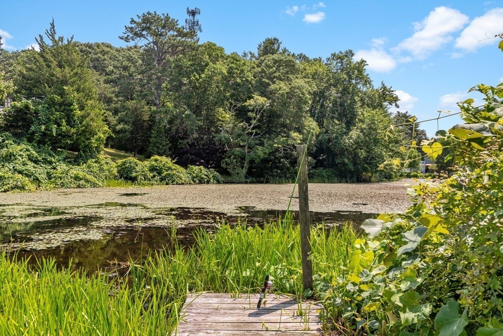 1251 County Road Bourne, MA 02534 - Photo 34 of 42 a view of a yard