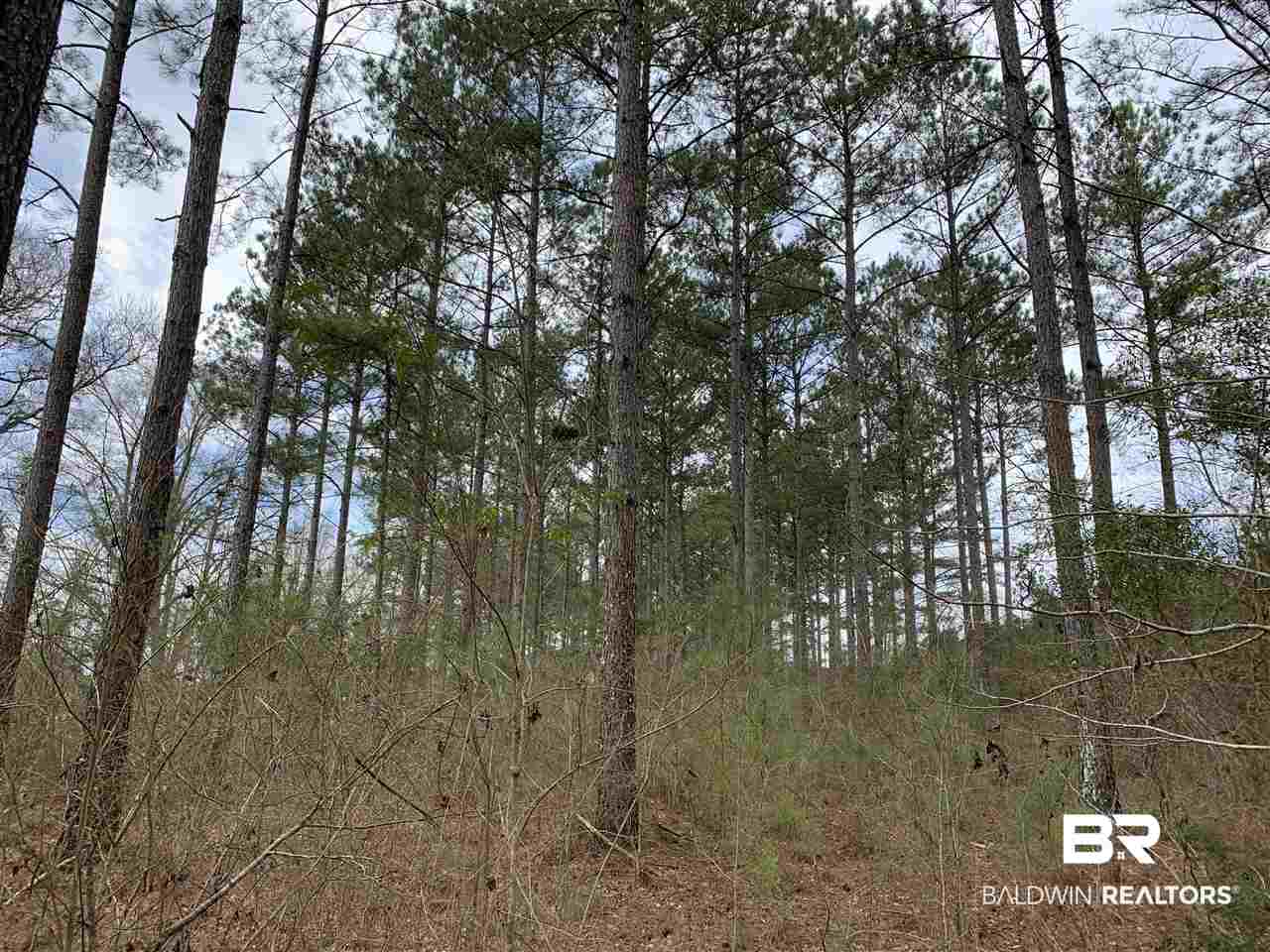 0 Sexton Brg Road Luverne, AL 36049 - Photo 43 of 50