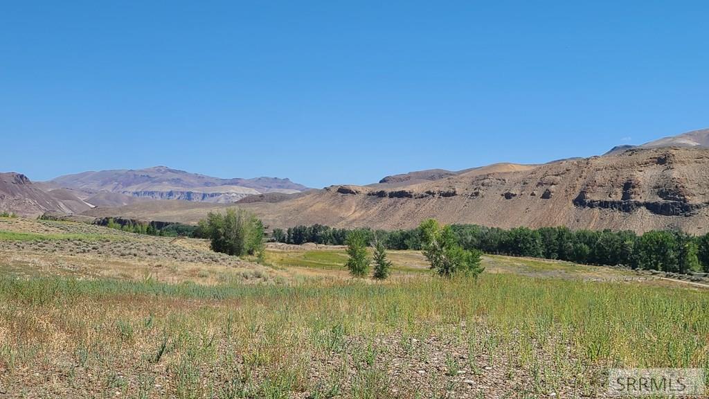 6 Homestead Trail Challis, ID 83226 - Photo 20 of 36