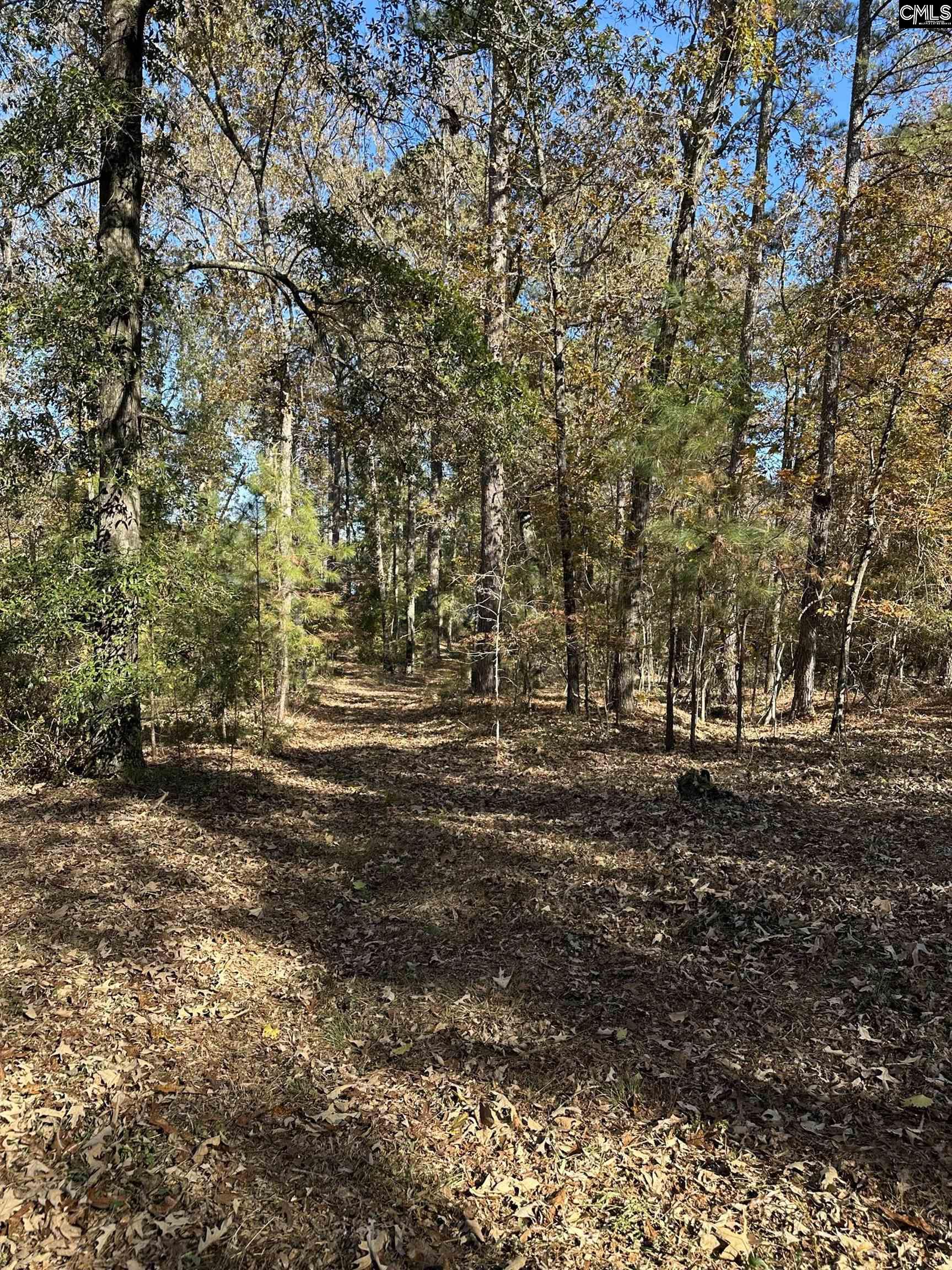 Lot 39 Edisto Lake Road Wagener, SC 29164 - Photo 8 of 9