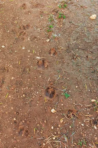 $435,300 | 0 North US Highway 87, Brady, TX 76825