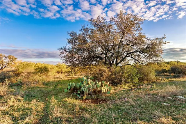 $435,300 | 0 North US Highway 87, Brady, TX 76825
