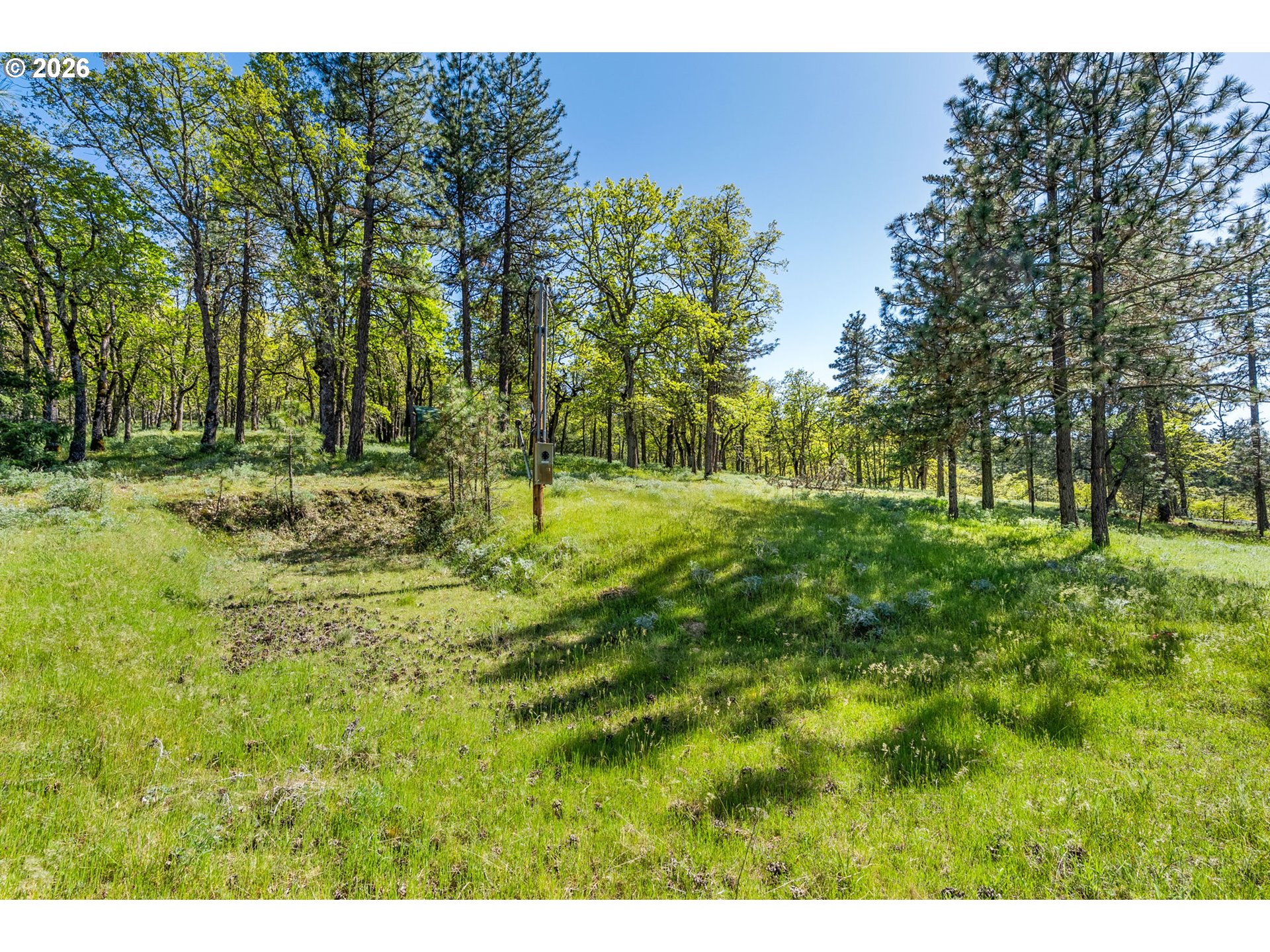 370 Rowland Road Lyle, WA 98635 - Photo 12 of 26 Gallery Image 12